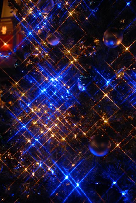 Illumination Blue Yokohama Gold