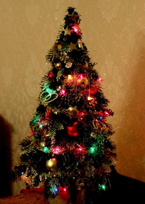 Christmas Tree Fir