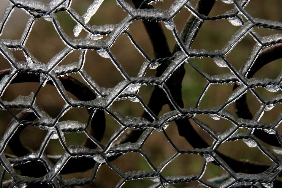 Fence Ice Winter