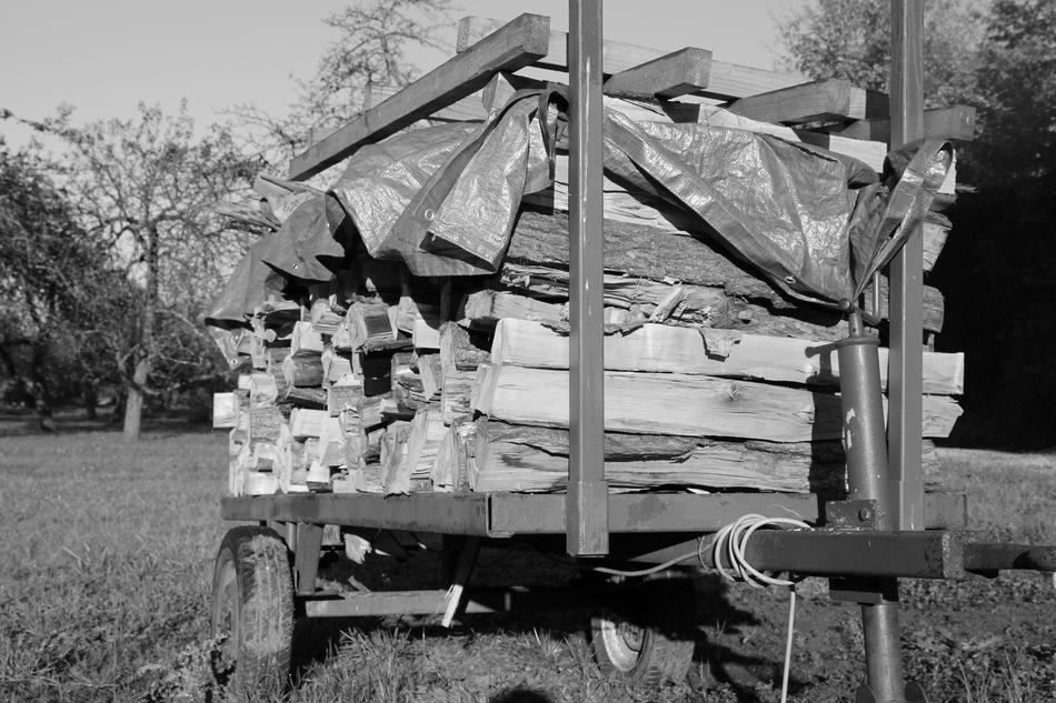 monochrome, firewood in the trailer