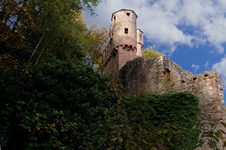 Neckarsteinach Castle Neckar