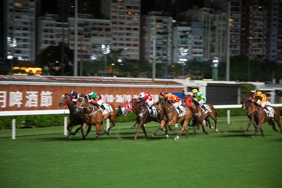 Horse Racing Hong Kong