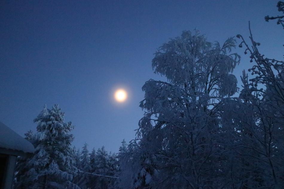 Moon Moonlight Blue For A While