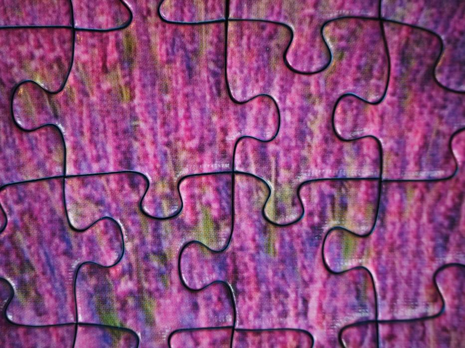 Pieces Of The Puzzle Items Form