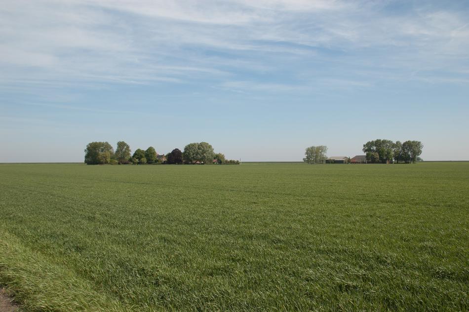 Groningen Field Wide