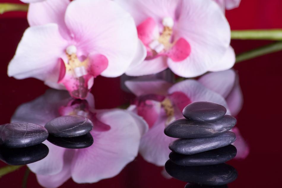 Massage Mirroring Orchid