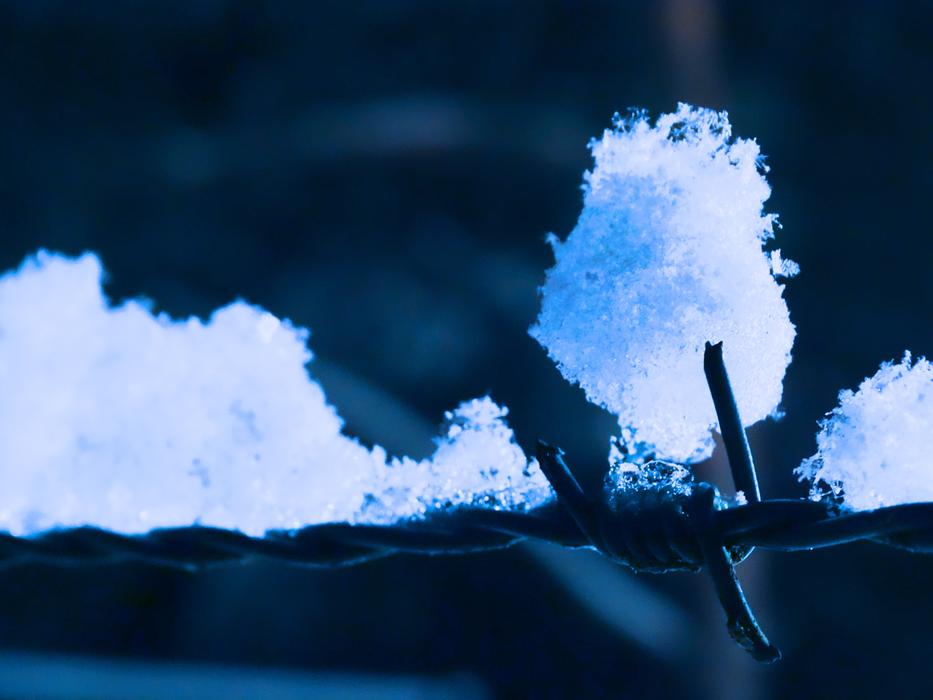 Snow Barbed Wire Winter