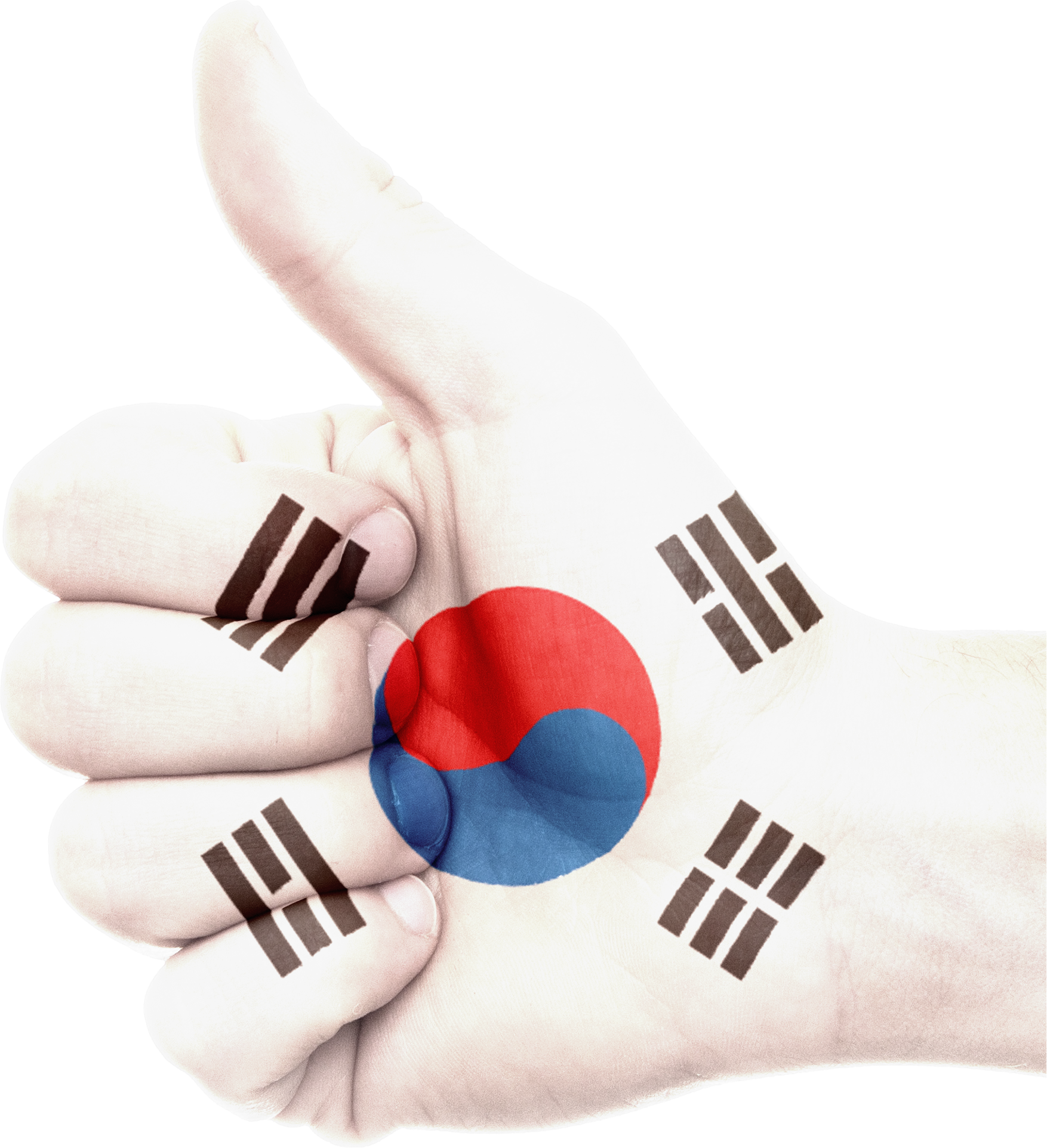 Корея флаг. Флаг Кореи. Корейцы с флагом Южной Кореи. Флаг корейской Республики. Флаг Кореи Южной и Северной.