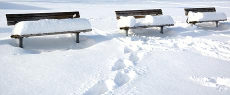 Winter Snow Bench