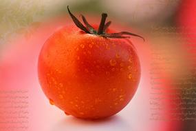 red wet tomato