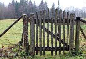 Wooden Door Slat Garden