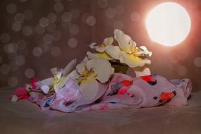 Cloth Orchid Flower and sun
