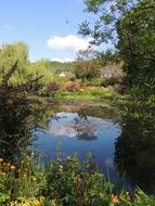 Garden Flowers Giverny