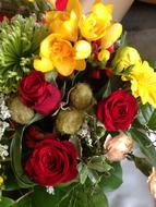 Roses Red Freesia