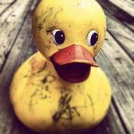 Rubber Duck Toy Yellow