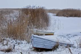 Winter Snow Wintry