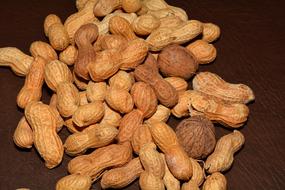 Peanuts Nuts Walnuts