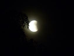 Lunar Eclipse Night Moon