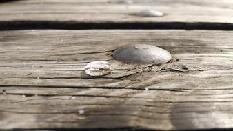 Picnic Table Water