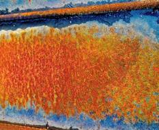 Rust Orange Blue
