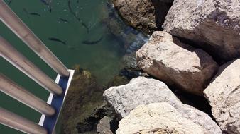 Rock Sea Water