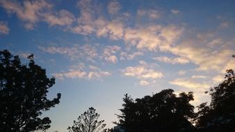 Trees Clouds Blue