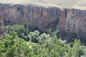 Ihlaravalley Cappadocia Tree