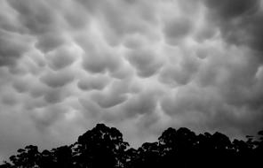 Mammatus Clouds Formation over trees, australia