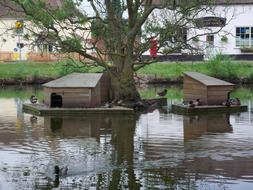Duck Pond Countryside