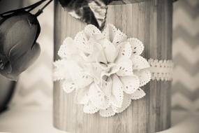 lace flower as decoration in black and white background