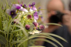Flowers and Photographer reflection in Mirror