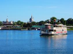 Disney Lake Castle