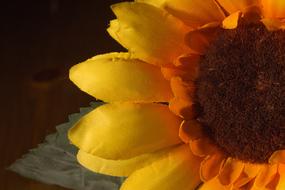 Sunflower Fabric