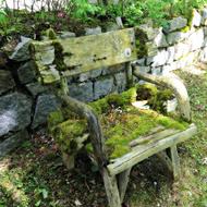 Wood Chair Moss Wooden