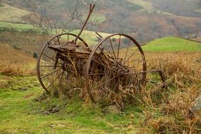 wooden chariot in the field