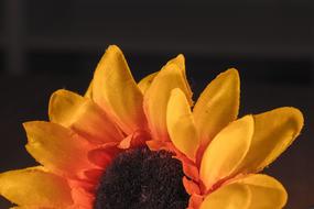 Sunflower, bright Fabric Flower at darkness