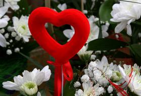 Heart Red decor and white flowers on blurred background