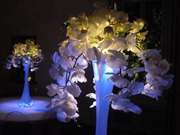 decorative Lamp Orchidaceae Centerpiece