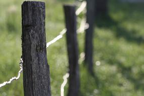 Fence Posts in Countryside