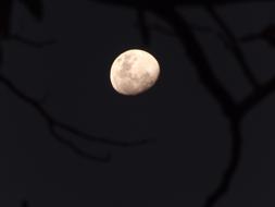 Moon Night Dark