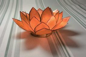 Water Lily Glass Orange