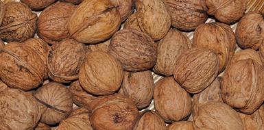 Walnut Nuts Healthy