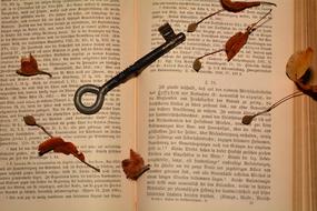 Book Key Old Close