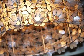 Chandelier Light Flowers