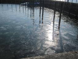 Lake ice water