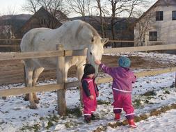 Horse Children