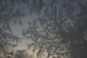 Ice Crystals Winter