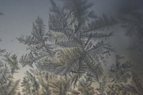 Ice Crystals Winter