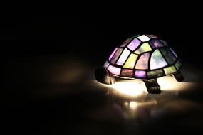 Lamp Light Turtle