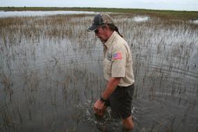 Everglades Ranger